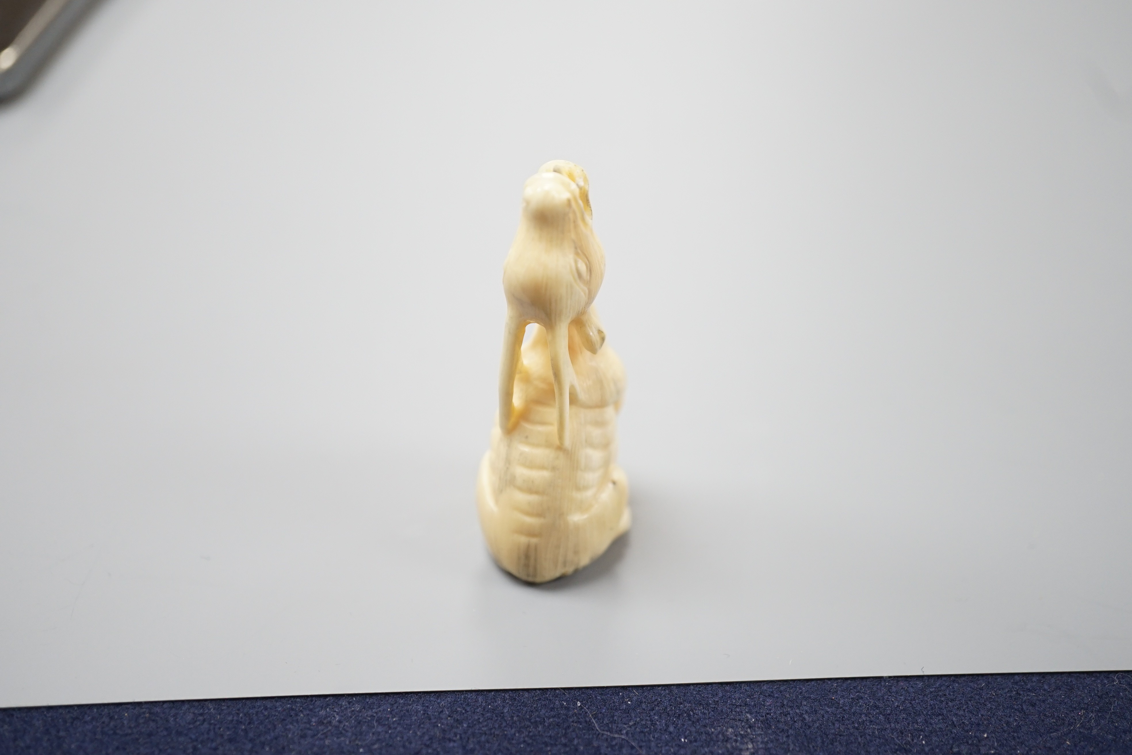 A Japanese ivory netsuke of a seated bellowing deer, 19th century, bears signature, 5.8cm